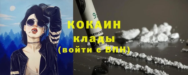 дмт Сосновоборск