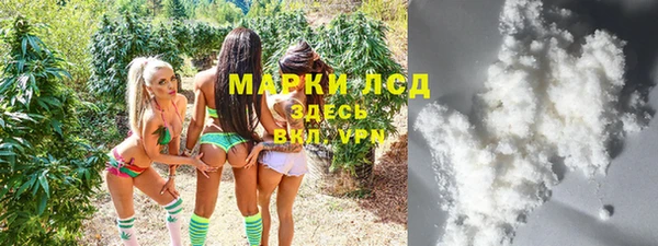 ПСИЛОЦИБИНОВЫЕ ГРИБЫ Баксан