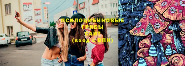 СК Сосновый Бор