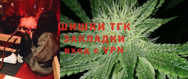 СК Сосновый Бор