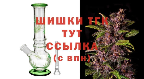 ПСИЛОЦИБИНОВЫЕ ГРИБЫ Баксан